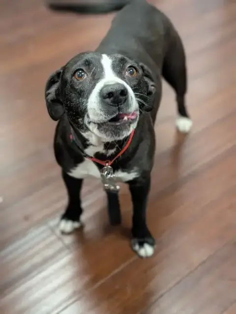 Darla photo 5