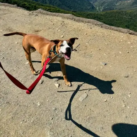 Parker photo 5