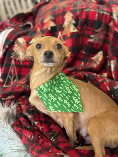 Fiona photo 3