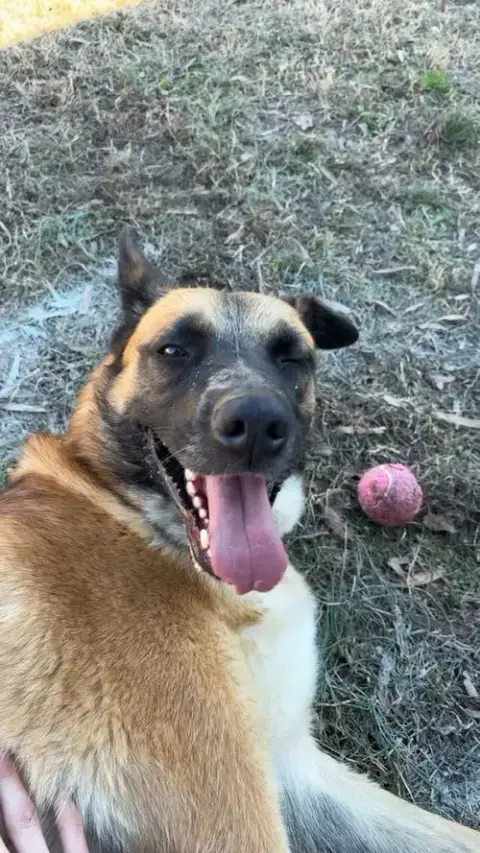 Mama Rosie photo 3