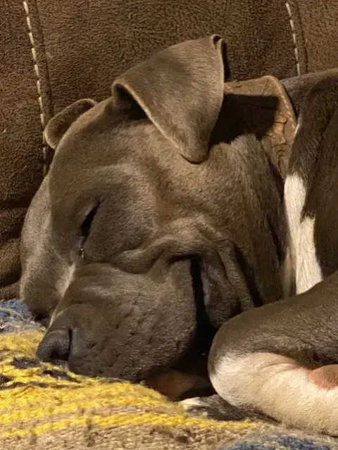 Ellie Gdp photo 2