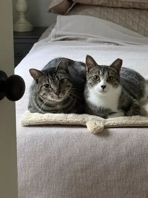Cubbie And Jesse