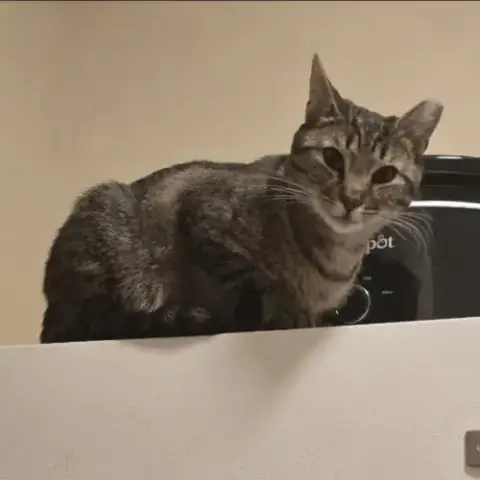 Luna photo 3