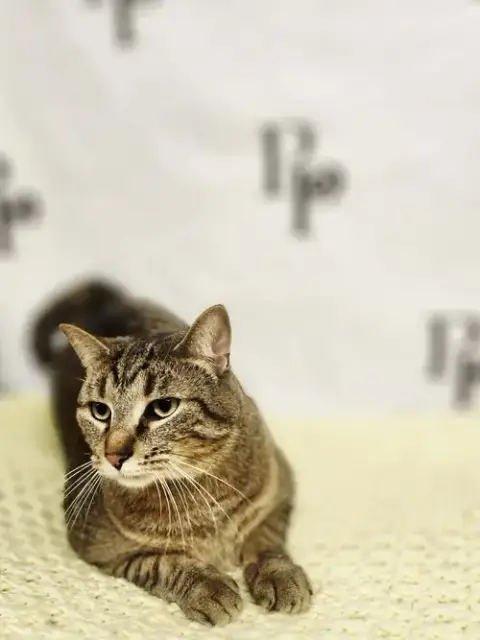 Binky photo 4