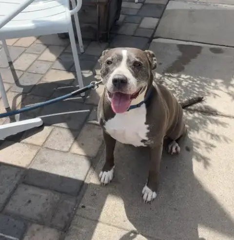 Mabel photo 2