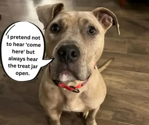 Bruce photo 3