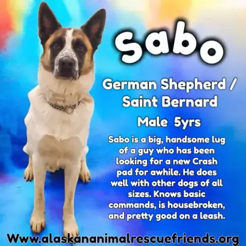 Sabo photo 2