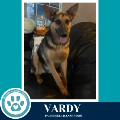 Vardy 041826 photo 4