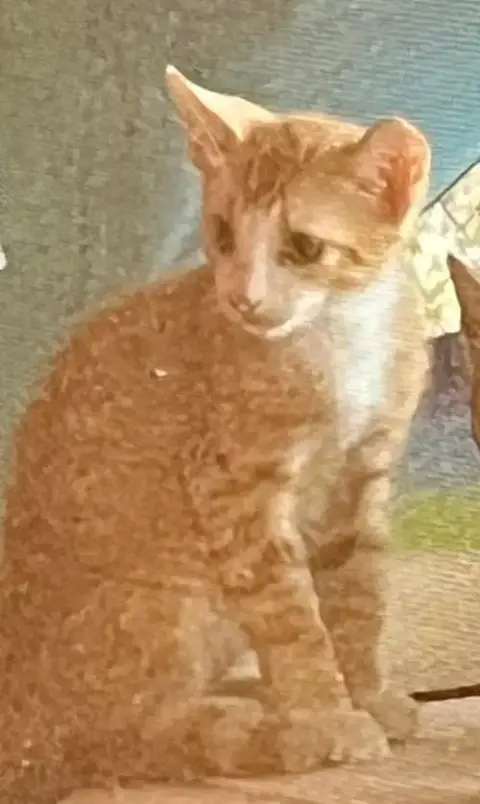 Tigger