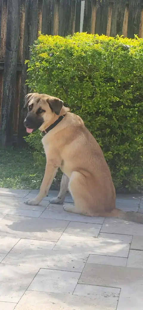 Zeus photo 3