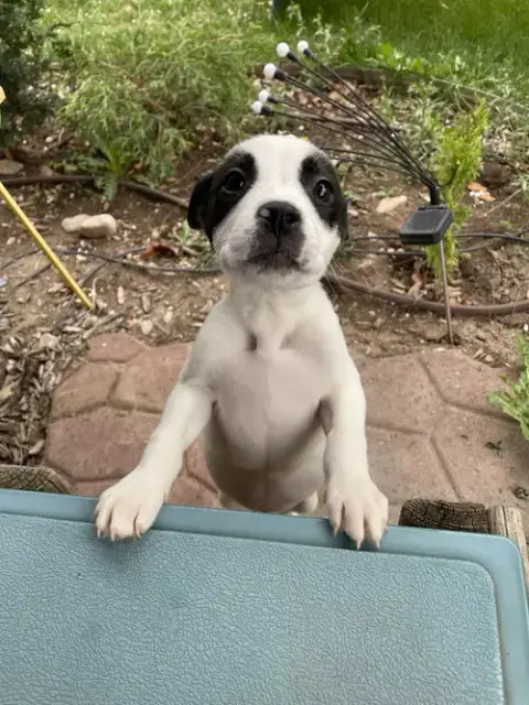 Teeny Tiny