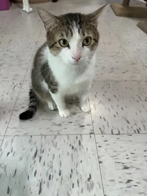 Quincy