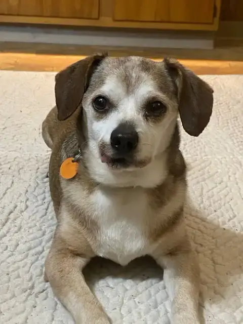 Murray