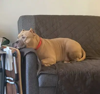 Meatball
