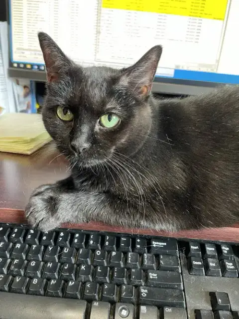 Sabrina photo 4