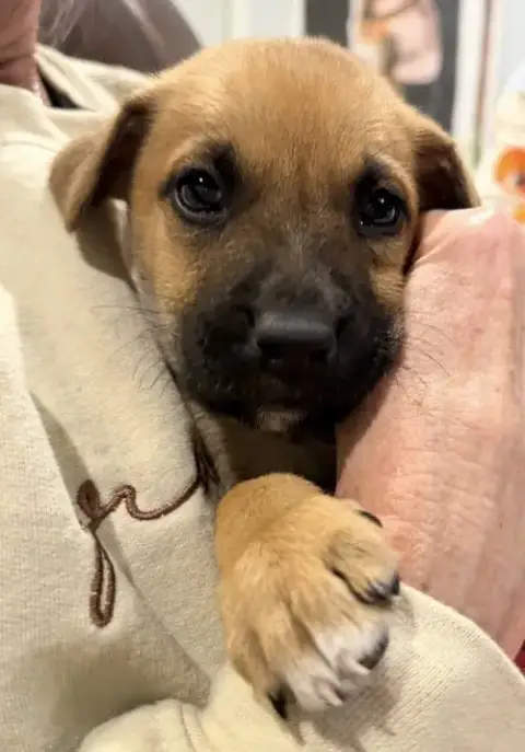 Buddy photo 4