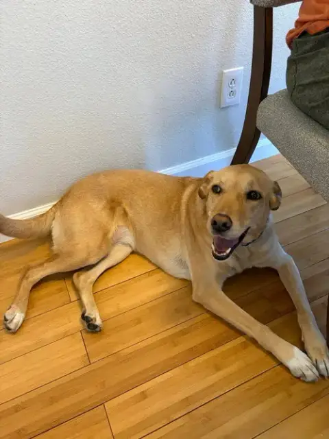 Maggie