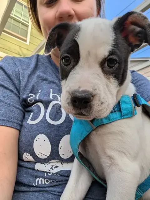 Daisy #21