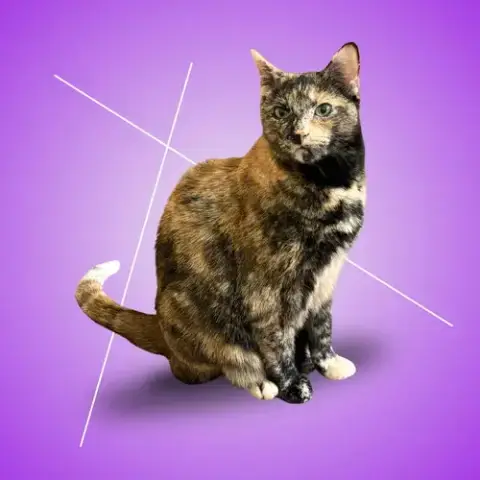 Ellie