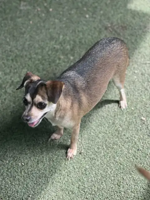 Juanita photo 4