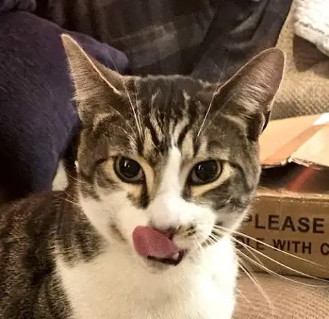 Bruce