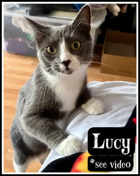 Lucy
