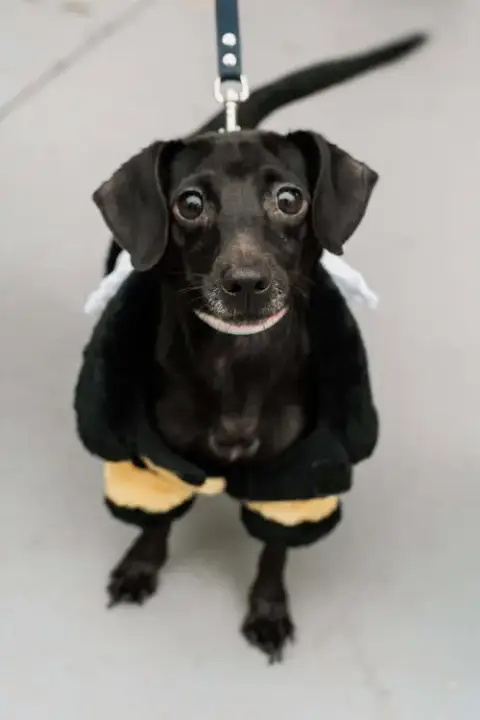 Bella photo 2