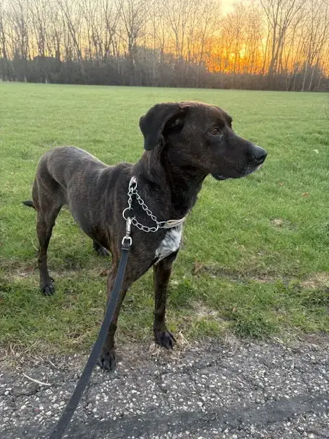 Kali photo 4