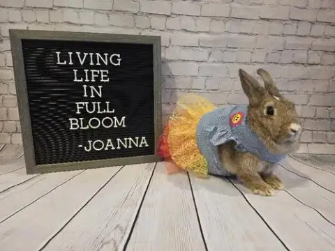 Joanna