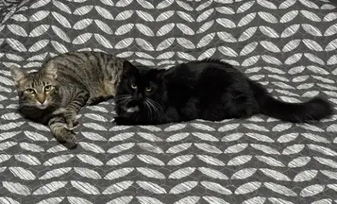 Oliver And Lucy photo 2