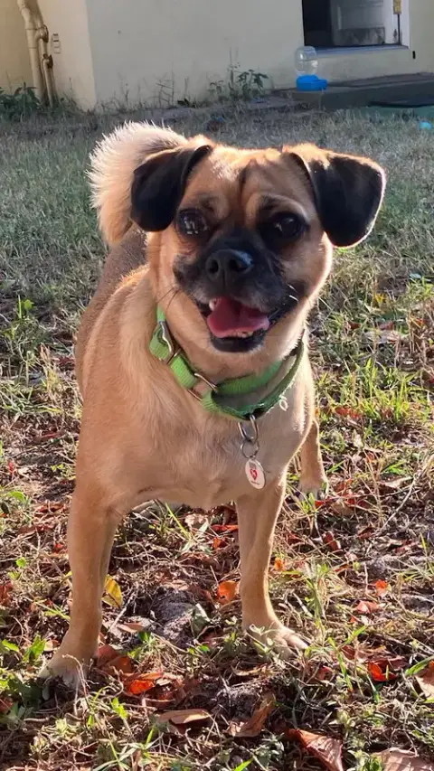 Chloe