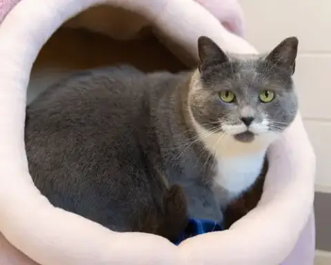 Samantha