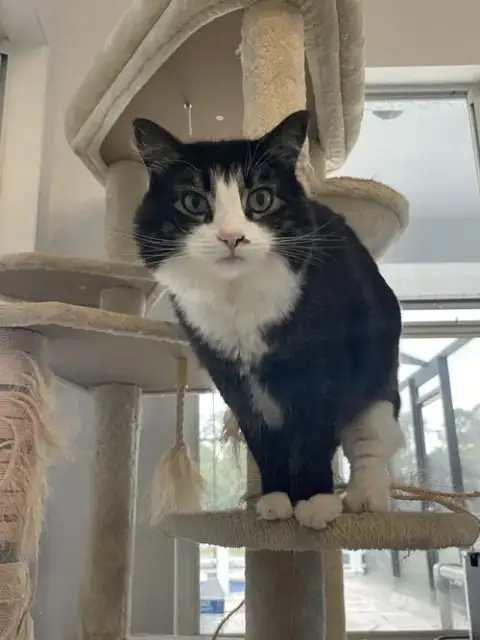 Bonnie