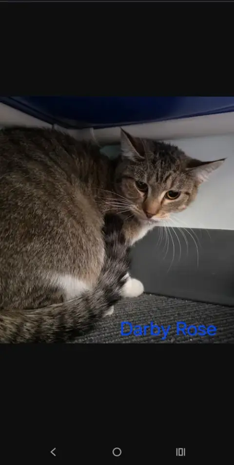 Darby Rose