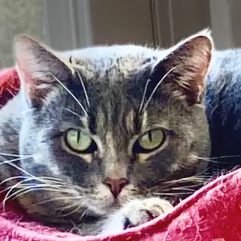 Freya