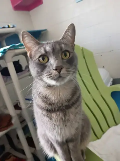 Ollie photo 2