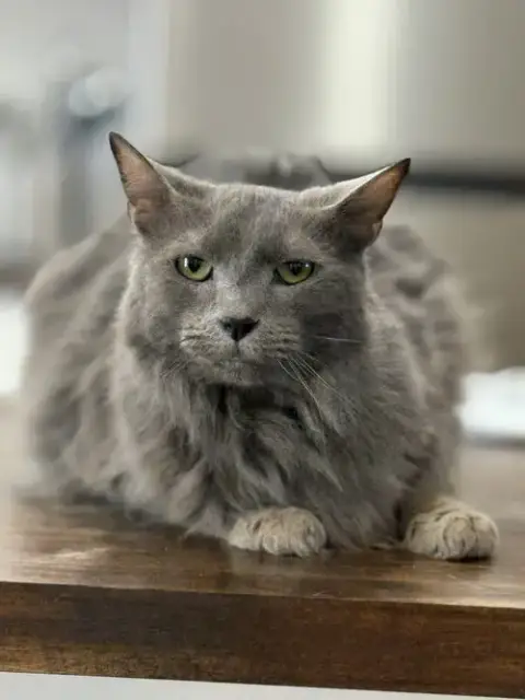 Jasper photo 3