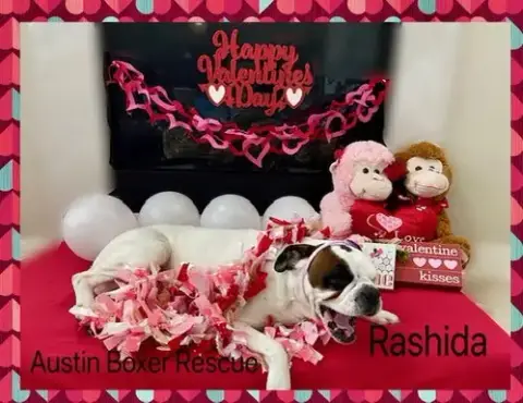 Rashida photo 2