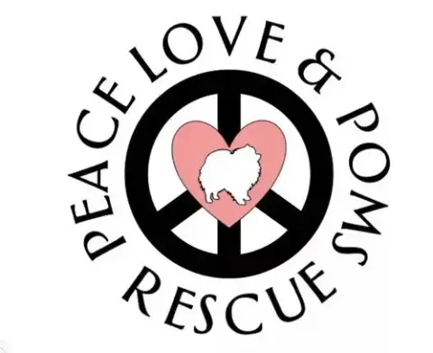Foster Homes Needed