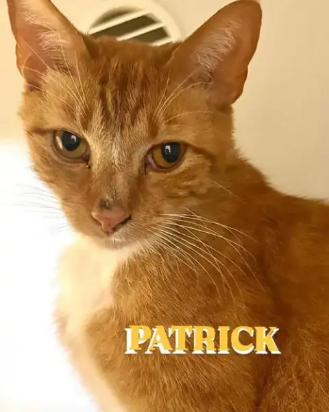 Patrick