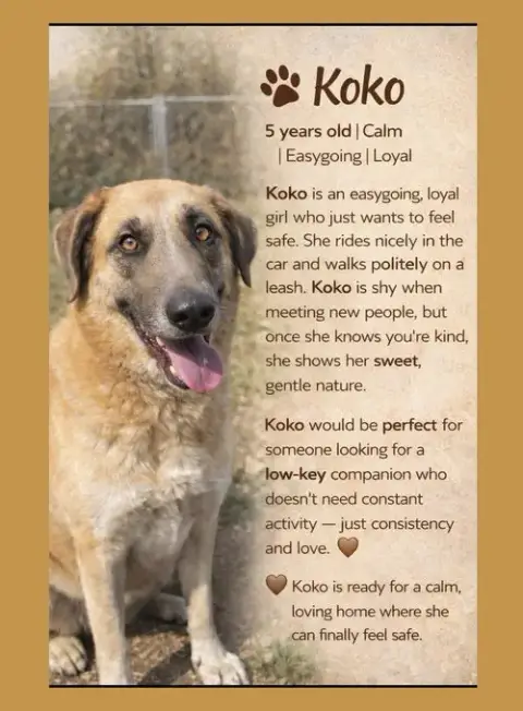 Koko