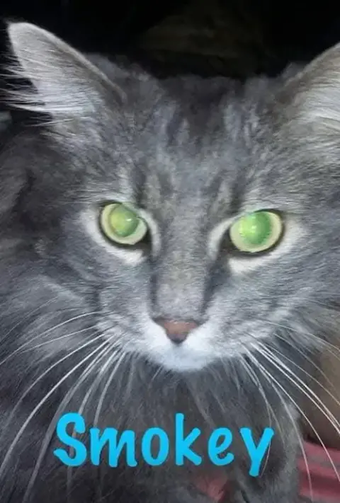 Smokey photo 3