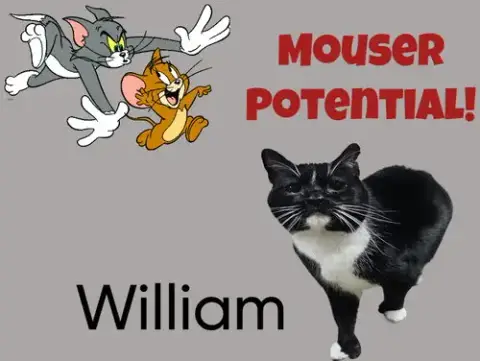 William