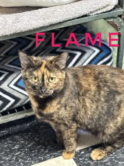 Flame