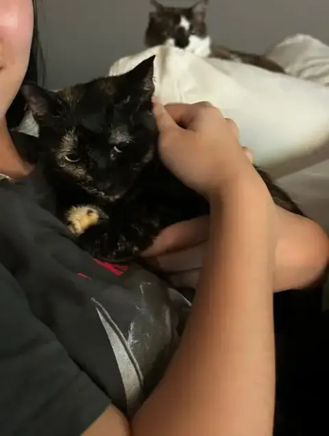 Jinxie photo 2