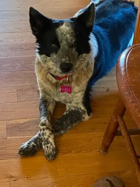 Zoe