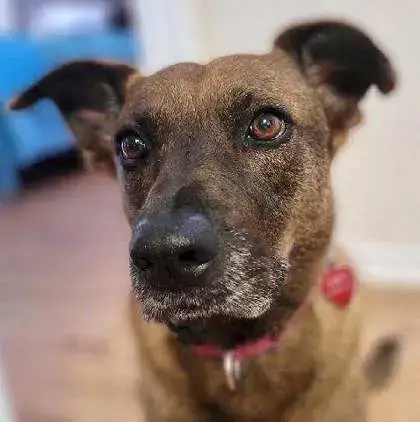 Lucy  2