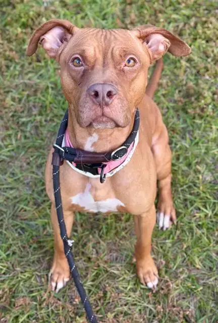Ruby