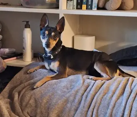 Vinny