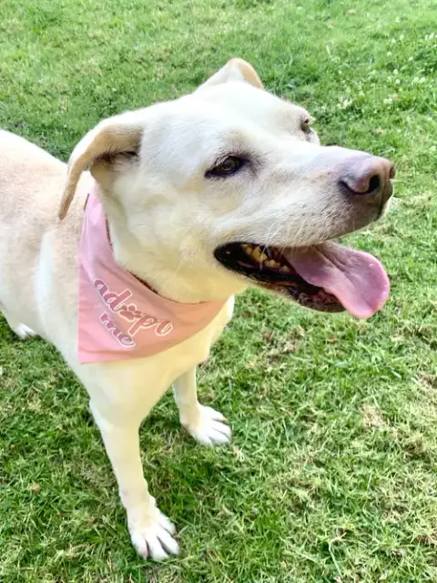 Maddy photo 3
